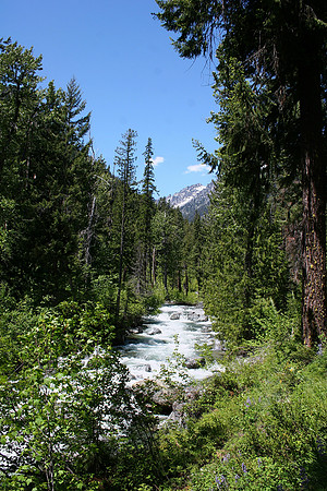 Ingall's Creek
