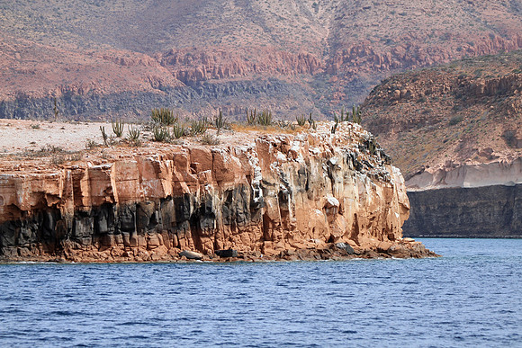 Espiritu Santo Island
